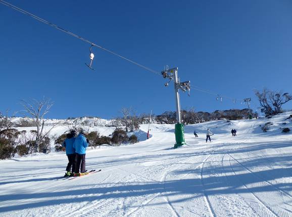 Antons T-bar