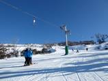 Antons T-bar