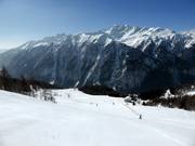 Seppenalm run
