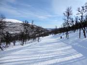 Slope Skogsstigen No. 42