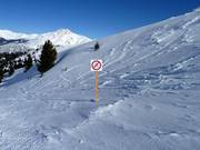 Entering the forests is prohibited
