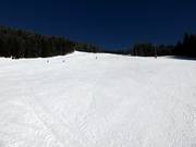 Jedermann slope