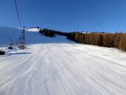First-class slope grooming in the Civetta ski area