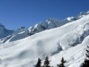 Bischof slope