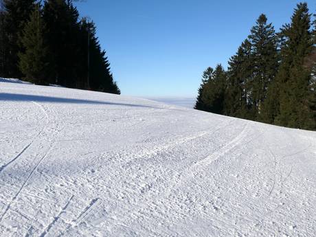 Slope preparation Upper Palatinate (Oberpfalz) – Slope preparation Hohenbogen – Neukirchen bei Hl. Blut