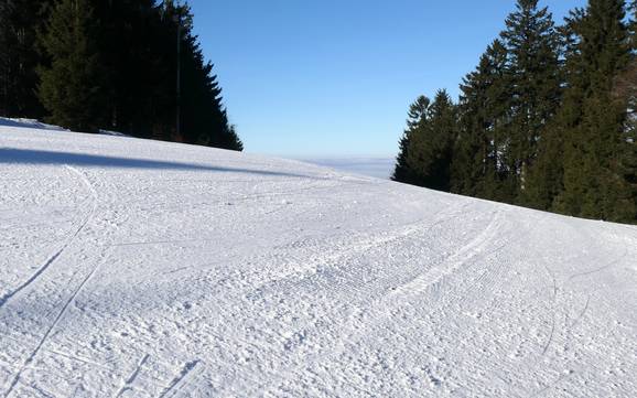 Slope preparation Hohenbogenwinkel – Slope preparation Hohenbogen – Neukirchen bei Hl. Blut