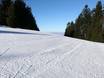 Slope preparation Bavarian Forest (Bayerische Wald) – Slope preparation Hohenbogen – Neukirchen bei Hl. Blut