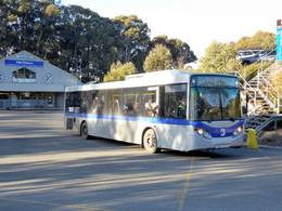 Mt. Buller