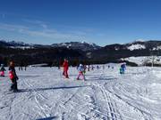 Easy slopes for children on the Winklmossalm