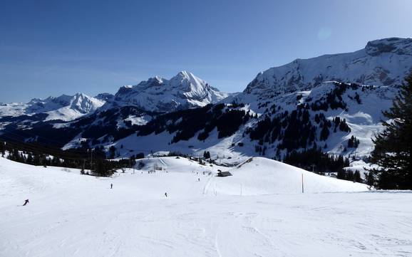 Skiing in the Bernese Oberland