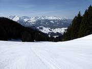 Schwendi slope
