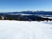 Isard slope