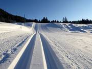 Perfectly groomed cross-country trail in Lenzerheide