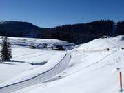 Trail on the Winklmoos-Alm
