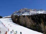 Oberholz slope