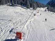 Snow lances along the slopes
