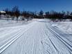 Cross-country skiing Hallingdal – Cross-country skiing Geilo