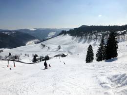 Muggenbrunn