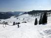 Todtnau: size of the ski resorts – Size Muggenbrunn