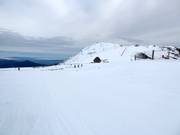 View towards Summit
