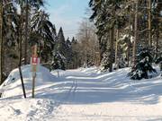 Lower Ring Trail at Ochsenkopf