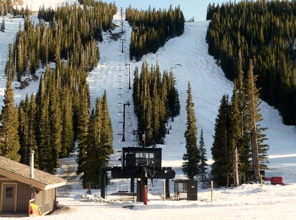 Chair 1