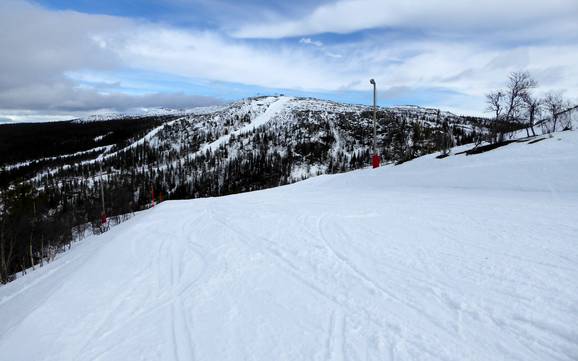 Snow reliability Vemdalen – Snow reliability Vemdalsskalet