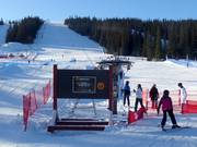 L5 Sparven - J-bar