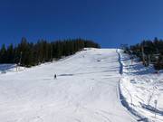 Challenging Panorama Run