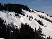 Deep powder slopes at Brandstadl