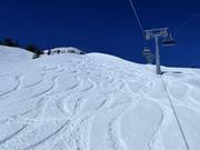 Ungroomed off-piste slopes