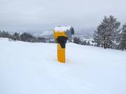 Snow cannon in the Snow King Mountain ski area