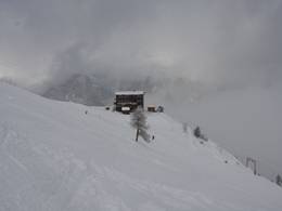 Elfer – Neustift