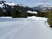 Easy family slope