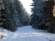 Cross-country trails at the ski resort