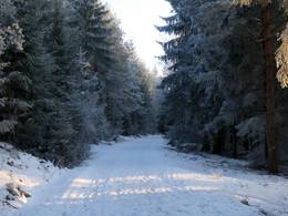 Lipno