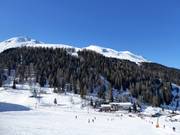 View from the practice lifts in the valley towards the Hoadl