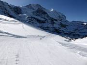 Moos slope