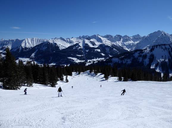 IF5 ski glide trail Gottesacker