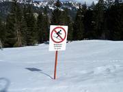 Entering the forest is prohibited