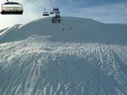 Powder tracks at the Family Express