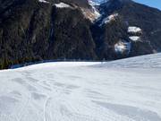 Valley run "Michl"