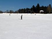 Easy slope at the Fleckllift