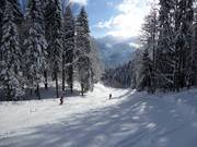South Descent