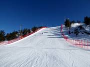Slope 4 (FIS)
