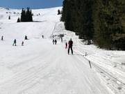Separately operated rope tow A at Aleko (not included in the ski pass)