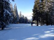 Easy slope Seehof