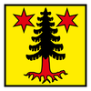 Guttannen