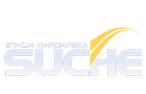 Suche