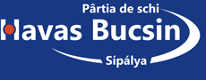 Bucsin